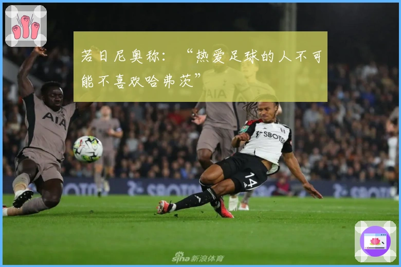 若日尼奥称：“热爱足球的人不可能不喜欢哈弗茨”