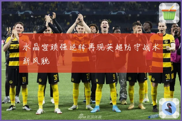 水晶宫顽强逆转再现英超防守战术新风貌