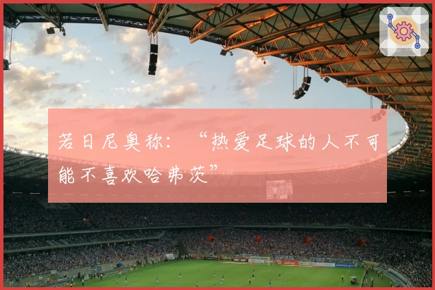 若日尼奥称：“热爱足球的人不可能不喜欢哈弗茨”